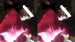 Sopir Truk Lampung Tewas Ditusuk Pemalak di Palembang, Kenek Saksikan Detik-Detik Tragis