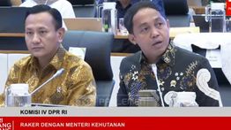 Menhut Klaim Deforestasi di Wilayah Bencana Sumatra Justru Turun