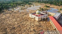 Penampakan 'Lautan' Batang Kayu Penuhi Sekitar Masjid di Aceh Tamiang