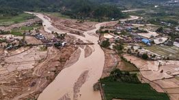 Cek Fakta: Joko Widodo Ditunjuk BRIN Sebagai Ketua Task Force Penanggulangan Bencana