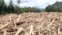 Bareskrim Tingkatkan Penanganan Kasus Kayu Terseret Banjir di Sumut ke Tahap Penyidikan