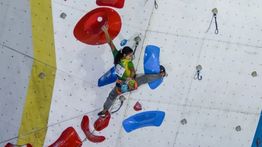 4 Atlet Panjat Tebing Indonesia Melaju Ke Final Lead Putra-Putri SEA Games