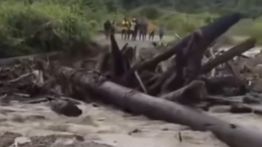 Papua Dilanda &ldquo;Banjir Kayu&rdquo; Mirip Sumatra, Jembatan Putus dan Aktivitas Warga Lumpuh