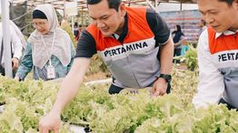 Dukung Ketahanan Pangan dan Ekonomi Lokal, PTK Perkuat DEB Tahap II Wisata Kariangau di Balikpapan