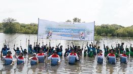 Perkuat Ketahanan Pesisir dan Edukasi Lingkungan Lintas Generasi, PTK Gelar Penanaman Bibit Mangrove di Tanjung Pasir Tangerang