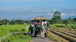 Percepat Kesejahteraan Masyarakat Papua Pemerintah Cetak 2000 hektar Sawah 