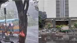 Hujan Deras dan Angin Kencang Terjang Lamongan, Pohon Tumbang dan Bangunan Rusak