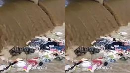 Mayat Laki-laki Mengapung di Sungai Cipelang Gegerkan Warga Indramayu