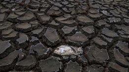 Iran Hadapi Krisis Air Akibat Kekeringan Parah