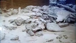 Banjir Bandang Kembali Terjang Maninjau Agam, Puluhan Rumah Terendam