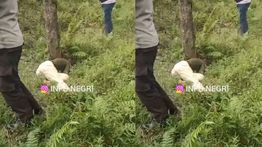 VIDEO: Mayat Perempuan Kondisi Luka di Kepala Gegerkan Warga Simalungun