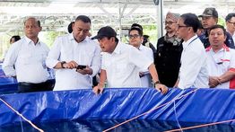 KKP Kucurkan Hibah Budidaya Ikan Bioflok untuk Kopdes Merah Putih di Situbondo