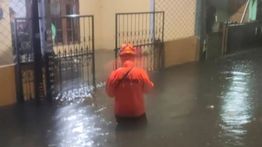 Sejumlah Wilayah Jakarta Barat Tergenang Banjir Usai Hujan Deras