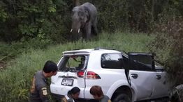 100 Orang Tewas Dalam Kecelakaan di Thailand