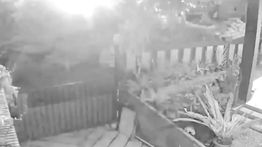 Dentuman dan Kilatan Cahaya di Cianjur Diduga Fenomena Atmosfer dan Geofisika