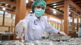 BGN Catat Jumlah SPPG Untuk MBG Naik Jadi 19.800 Unit Awal 2026