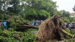 3 Penerbangan Juanda Dialihkan ke Semarang Akibat Angin Kencang