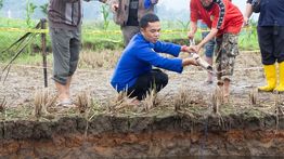 ESDM Turunkan Tim Ahli Badan Geologi Kaji Fenomena Sinkhole di Limapuluh Kota