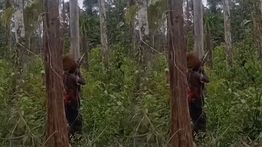 OPM Tembaki Pesawat Trigana di Yahukimo