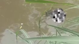 Mayat Mengambang di Kali Gegerkan Warga Lenteng Agung