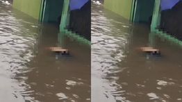 Detik-detik Lansia di Bekasi Terseret Arus Banjir hingga Meninggal Dunia