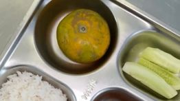 Survei Indikator: Kepuasan Program MBG Tembus 72,8%