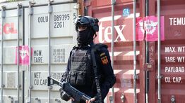 Bea Cukai Gagalkan Penyelundupan 58,3 Ton Ekspor Rotan Ilegal Tujuan China