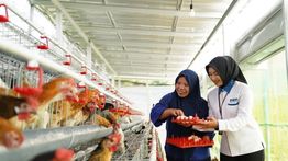 PNM Perkuat Ketahanan Pangan Lewat Rumah Pangan dan Pekarangan Bergizi