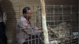 Viral ODGJ di Ponorogo Dipasung 20 Tahun oleh Keluarganya Sendiri