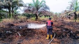 BPBD Catat, Kebakaran Lahan di Aceh Barat Meluas Jadi 58,7 Hektare