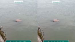 Geger Mayat Pria Mengambang di Perairan Teluk Kendari