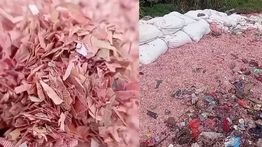 Viral Temuan Cacahan Uang di TPS Liar Bekasi, DLH Selidiki Asal-usulnya