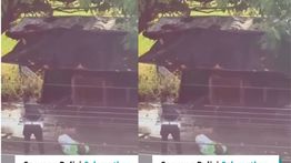 VIDEO: Polisi Seorang Diri Selamatkan Lansia dari Serangan Anjing Liar