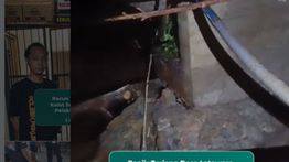 VIDEO: Banjir Bikin Jembatan di Kolaka Utara Ambruk