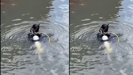 Anak Tenggelam di Sungai Binong Bandung, Kondisi Tewas Mengenaskan