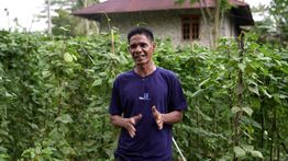 Tanpa MBG, Petani: Mungkin Sayur Kami Hanya Jadi Pakan Ternak