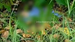 Bayi Baru Lahir di Bekasi Dibuang Ortunya, Ditemukan di Semak Belukar