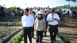 Kementan Gelontorkan Rp336 Miliar untuk Rehabilitasi Sawah Terdampak Banjir di Sumatera