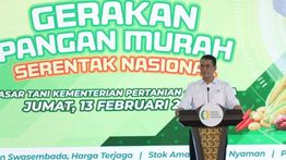 Pemerintah Pastikan Stok Pangan Aman Jelang Ramadhan, Harga Tak Boleh di Atas HET