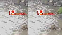 Warga Bogor Digegerkan Penemuan Mayat di Sungai Cisadane Pagi Ini