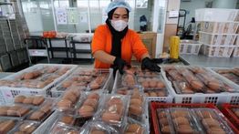 BGN Tanggapi Isu Menu MBG Awal Ramadhan, Komitmen Tingkatkan Mutu