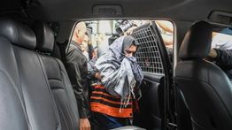 Fadia Arafiq Ngaku ke KPK Tak Tahu Aturan karena Mantan Pedangdut