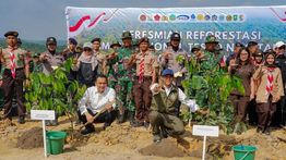 Kemenhut Mulai Reforestasi Tesso Nilo, Target Pemulihan 66.704 Hektare