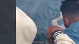 VIDEO: Jasad Bocah Laki-laki Hanyut Gegerkan Warga Tidore