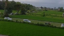 Rombongan Pemudik Nyasar ke Sawah Akibat Google Maps di Sleman