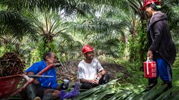 GAPKI Dorong Industri Sawit Wujudkan Kesetaraan bagi Perempuan Pekerja