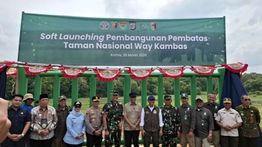 Pagar 138 Km di Way Kambas Siap Dibangun, Cegah Konflik Gajah