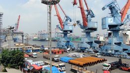 Dermaga ke Dunia: Terminal Kijing dan Peran Strategis PTP Nonpetikemas dalam Menggerakkan Ekonomi Kalimantan Barat