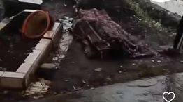 Pria Karawang Tewas Tersambar Petir di Kuburan