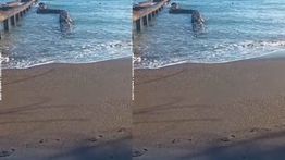 VIDEO: Penampakan Air Laut Naik Turun Pasca Gempa M 7,6 Hantam Sulut